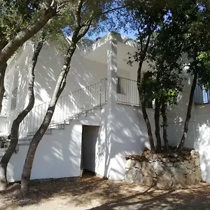 Gasthof In Campagna Da Nino, Olbia